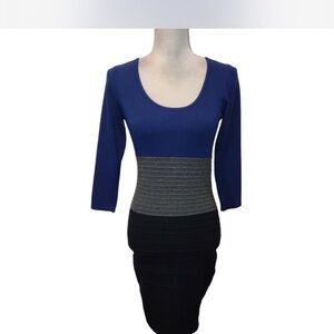 Gorgeous Max Studio colorblock scoop neck sweater dress EUC